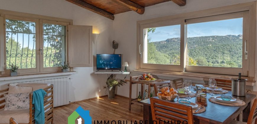 Stazzu For Sale In Arzachena