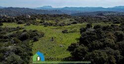 Tenuta agricola in vendita Olbia Ref Cuncosu