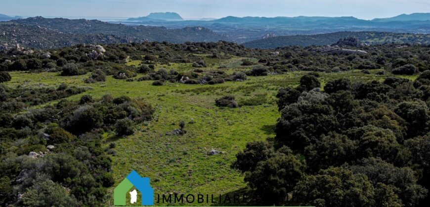 Tenuta agricola in vendita Olbia Ref Cuncosu