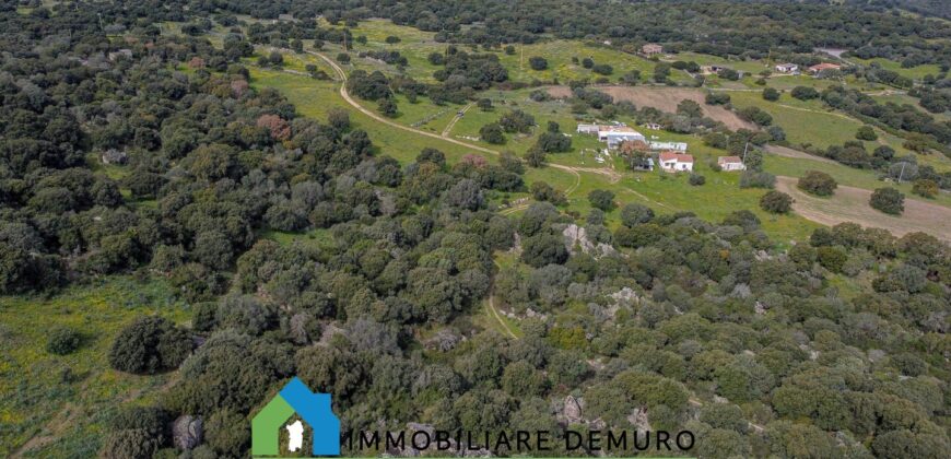 Tenuta agricola in vendita Olbia Ref Cuncosu