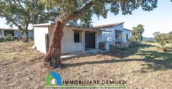 Tenuta agricola in vendita Olbia Ref Cuncosu