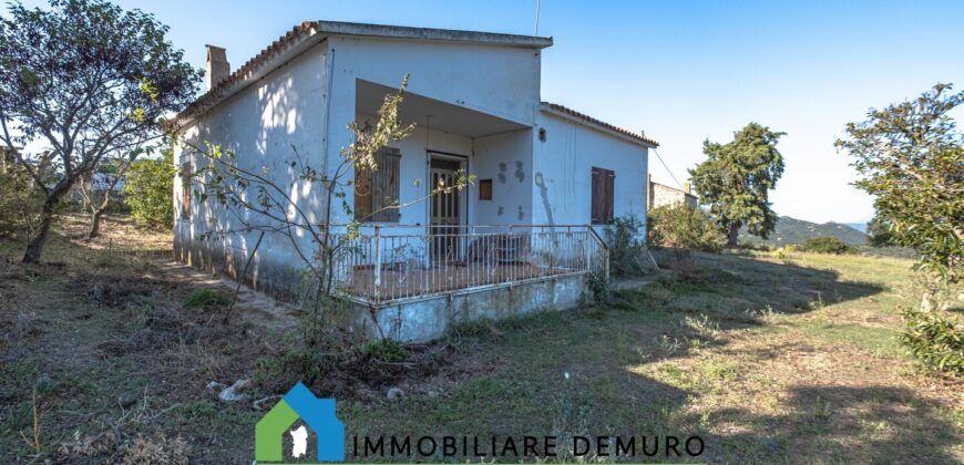 Tenuta agricola in vendita Olbia Ref Cuncosu