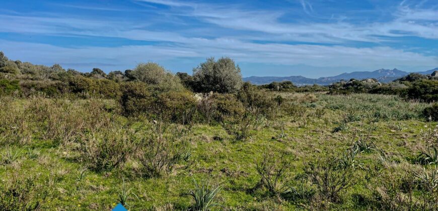 Tenuta agricola in vendita Olbia Ref Cuncosu