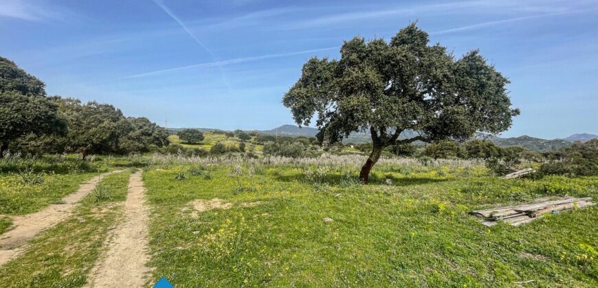 Tenuta agricola in vendita Olbia Ref Cuncosu