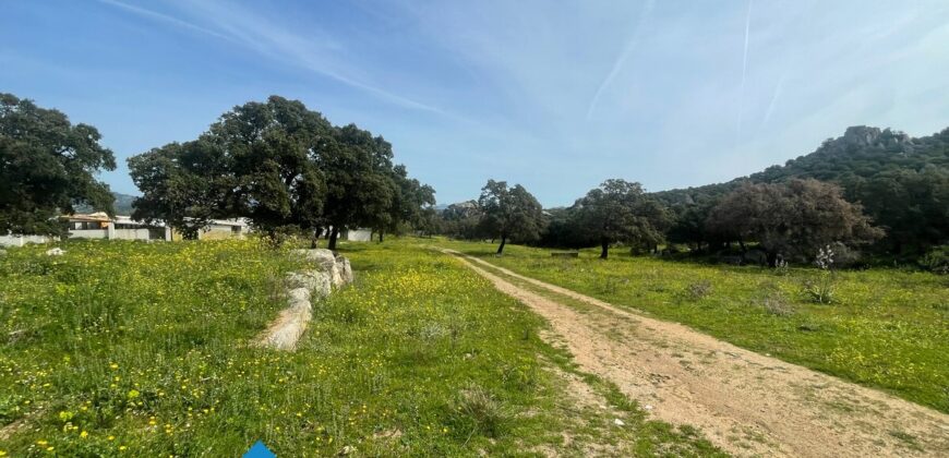 Tenuta agricola in vendita Olbia Ref Cuncosu