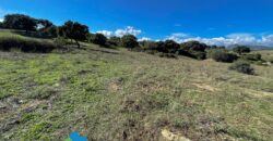 Tenuta agricola in vendita Olbia Ref Cuncosu