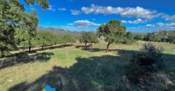 Tenuta agricola in vendita Olbia Ref Cuncosu