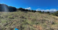 Tenuta agricola in vendita Olbia Ref Cuncosu