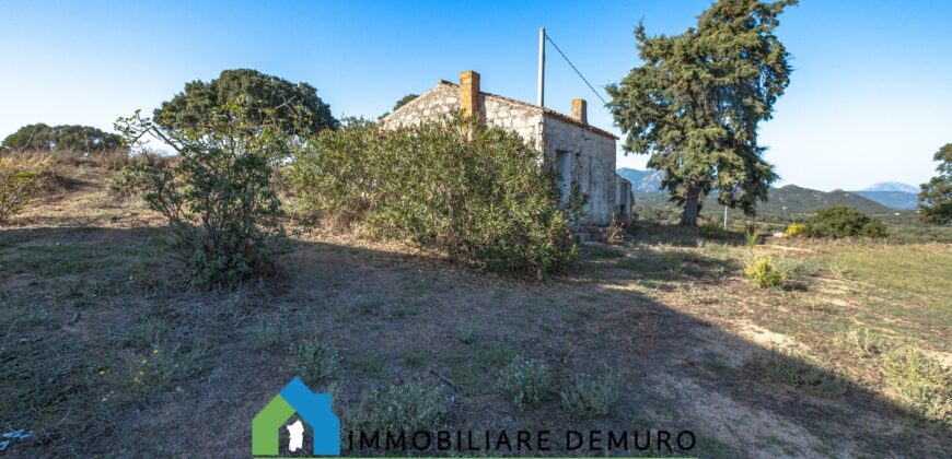 Tenuta agricola in vendita Olbia Ref Cuncosu