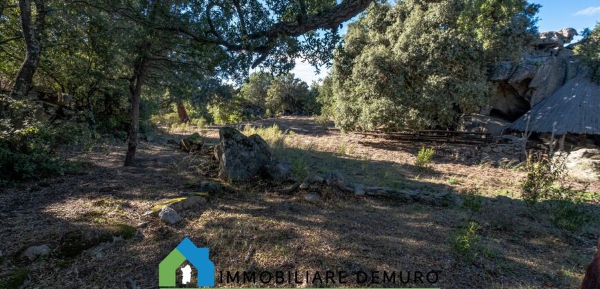 Tenuta agricola in vendita Olbia Ref Cuncosu