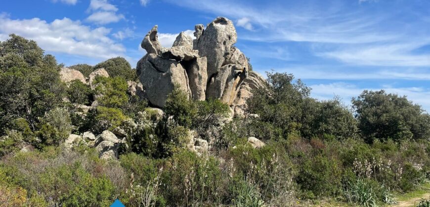 Tenuta agricola in vendita Olbia Ref Cuncosu