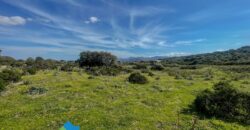 Tenuta agricola in vendita Olbia Ref Cuncosu