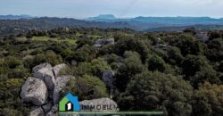 Tenuta agricola in vendita Olbia Ref Cuncosu