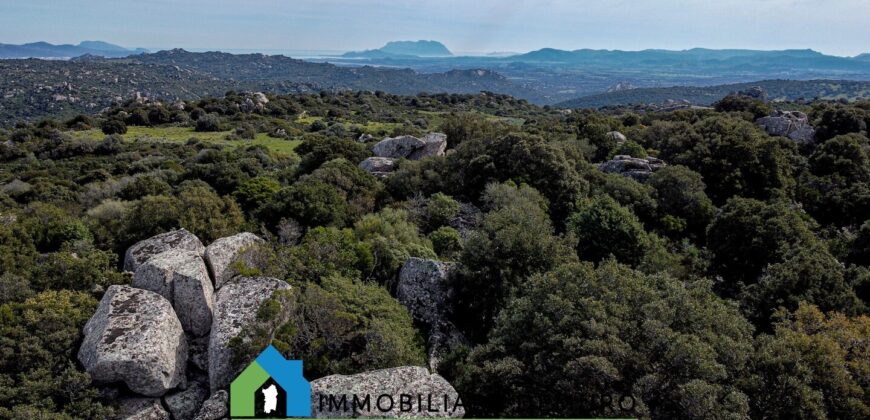 Tenuta agricola in vendita Olbia Ref Cuncosu