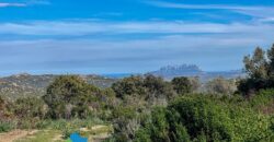 Tenuta agricola in vendita Olbia Ref Cuncosu