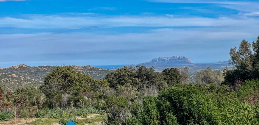 Tenuta agricola in vendita Olbia Ref Cuncosu