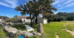 Tenuta agricola in vendita Olbia Ref Cuncosu