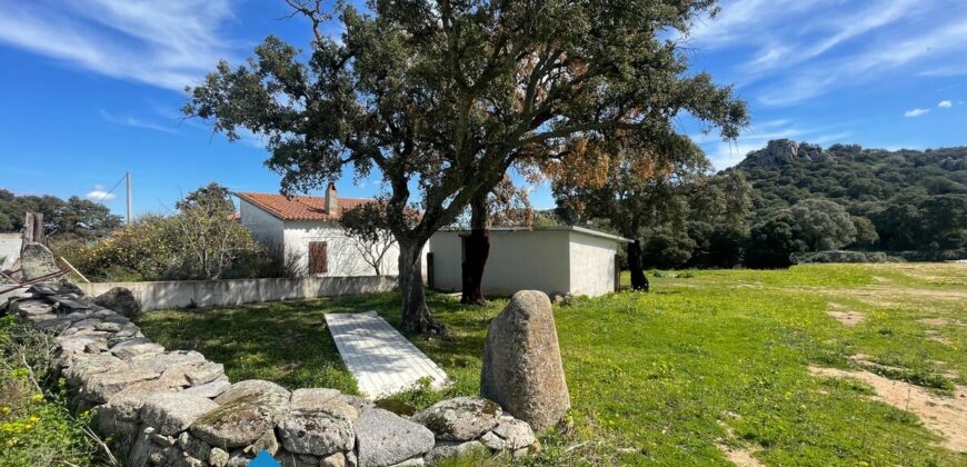 Tenuta agricola in vendita Olbia Ref Cuncosu