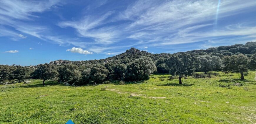 Tenuta agricola in vendita Olbia Ref Cuncosu