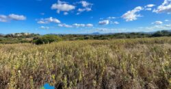 Tenuta agricola in vendita Olbia Ref Cuncosu