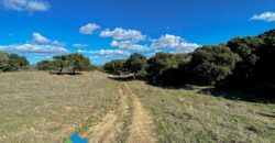 Tenuta agricola in vendita Olbia Ref Cuncosu