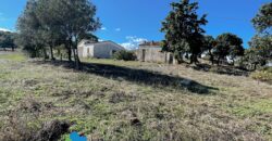 Tenuta agricola in vendita Olbia Ref Cuncosu
