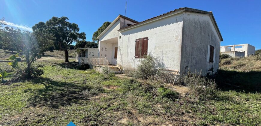 Tenuta agricola in vendita Olbia Ref Cuncosu