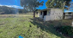 Tenuta agricola in vendita Olbia Ref Cuncosu