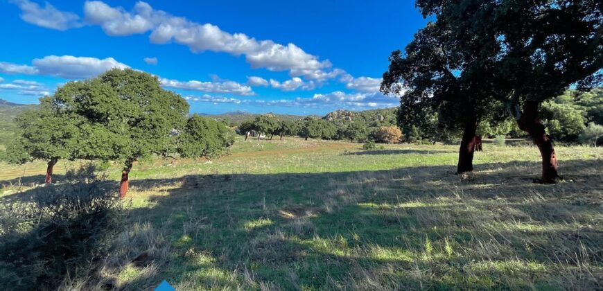 Tenuta agricola in vendita Olbia Ref Cuncosu