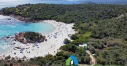 Villen Zum Verkauf In Porto Cervo