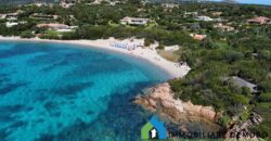 Villen Zum Verkauf In Porto Cervo