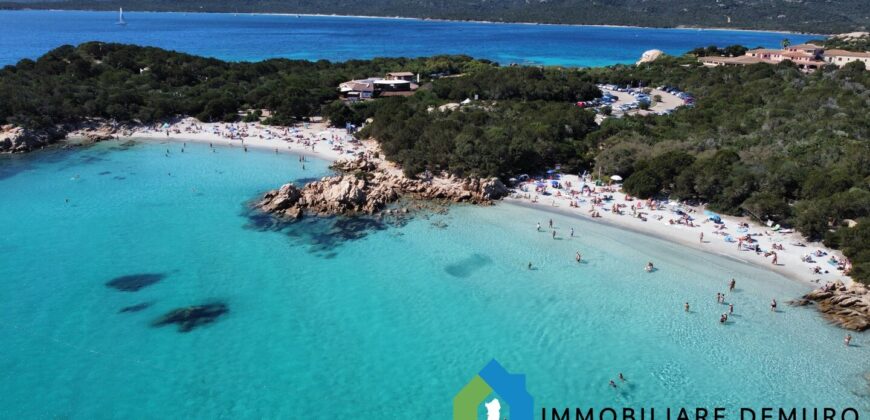 Villen Zum Verkauf In Porto Cervo