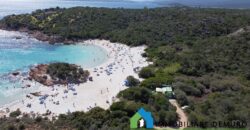 Villen Zum Verkauf In Porto Cervo