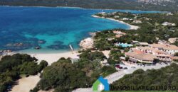 Villen Zum Verkauf In Porto Cervo