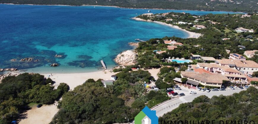 Villen Zum Verkauf In Porto Cervo