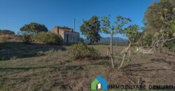 Casale in vendita a Telti  Ref Cuncosu A