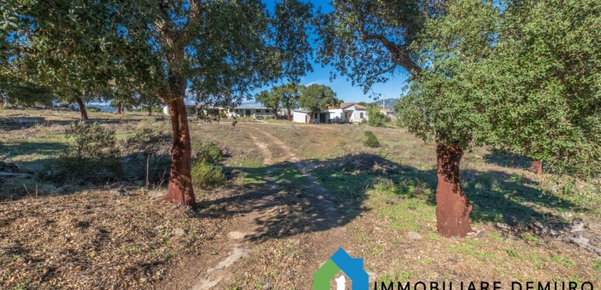 Casale in vendita a Telti  Ref Cuncosu A