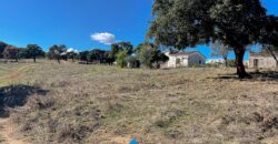 Casale in vendita a Telti  Ref Cuncosu A