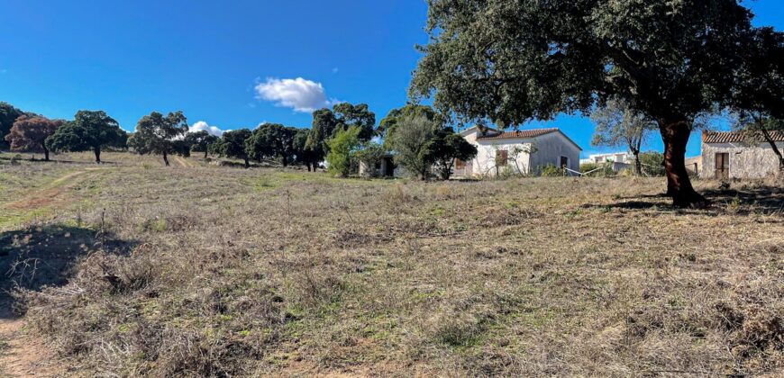 Casale in vendita a Telti  Ref Cuncosu A