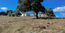 Casale in vendita a Telti  Ref Cuncosu A