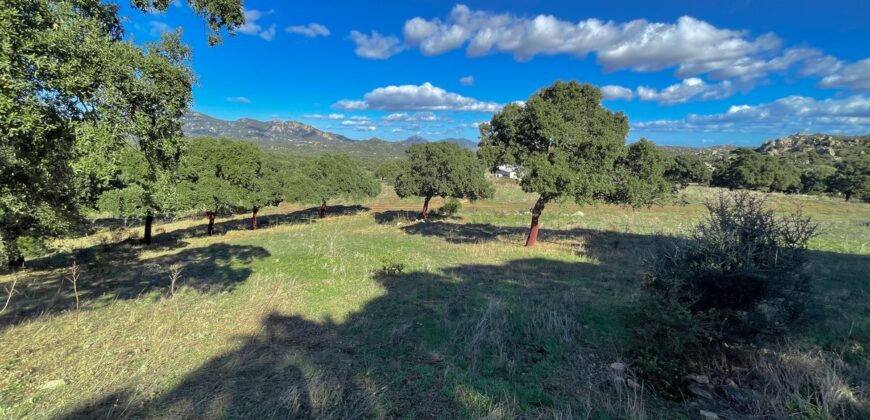 Casale in vendita a Telti  Ref Cuncosu A