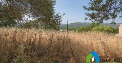 LandhäUser Zum Verkaufen Monti Ref. Su Canale