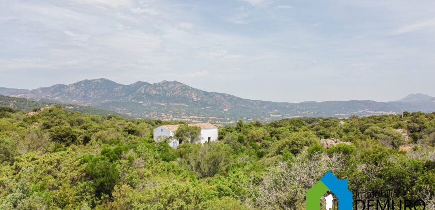 Rustico da ristrutturare in vendita ad Olbia Ref. Li Furreddi