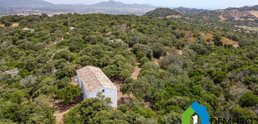 Rustico da ristrutturare in vendita ad Olbia Ref. Li Furreddi