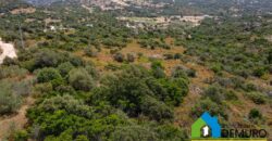 Rustico da ristrutturare in vendita ad Olbia Ref. Li Furreddi