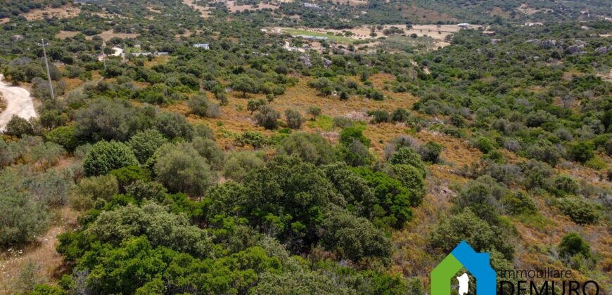 Rustico da ristrutturare in vendita ad Olbia Ref. Li Furreddi