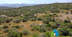 Rustico da ristrutturare in vendita ad Olbia Ref. Li Furreddi