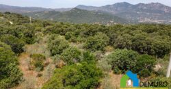 Rustico da ristrutturare in vendita ad Olbia Ref. Li Furreddi