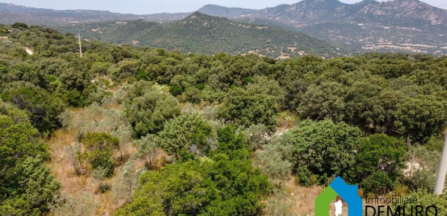 Rustico da ristrutturare in vendita ad Olbia Ref. Li Furreddi