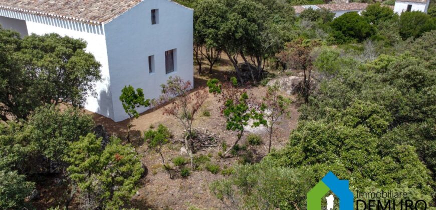 Rustico da ristrutturare in vendita ad Olbia Ref. Li Furreddi
